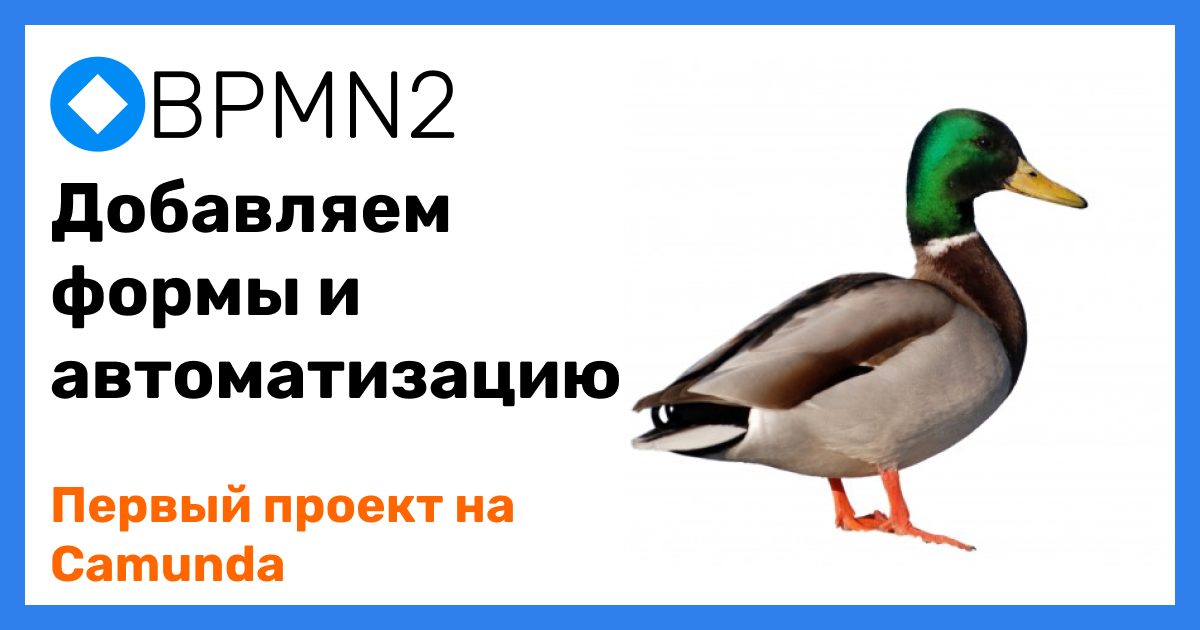 forms